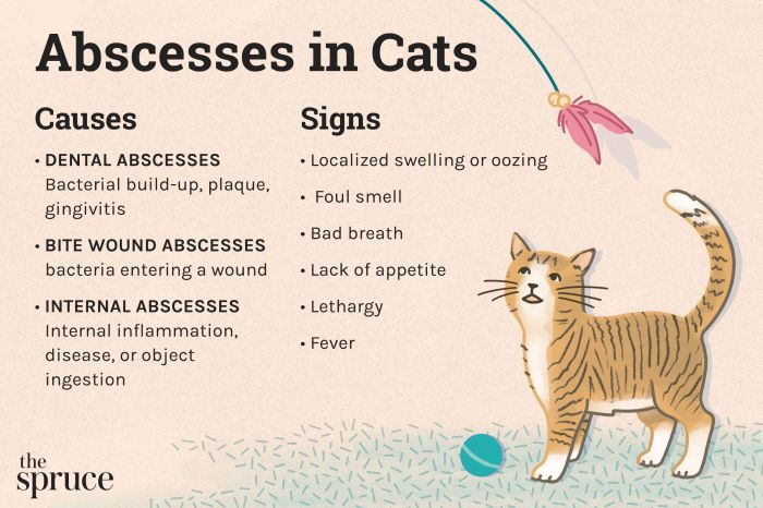 Abscess causes and treatment