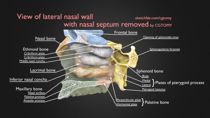 Nasal polyps surgery recovery