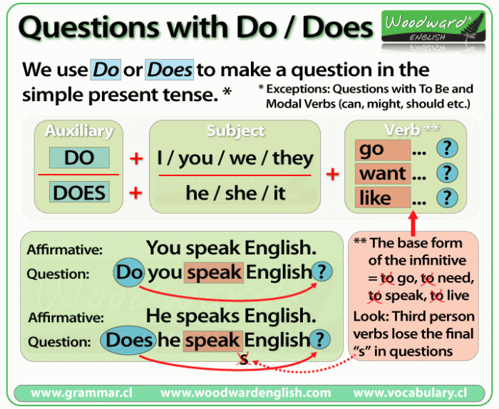 Do vs Does Questions in the Present Simple Tense | Learn English ... Does medicaid cover anti obesity medication