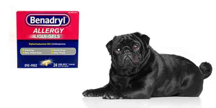 Benadryl what you should know