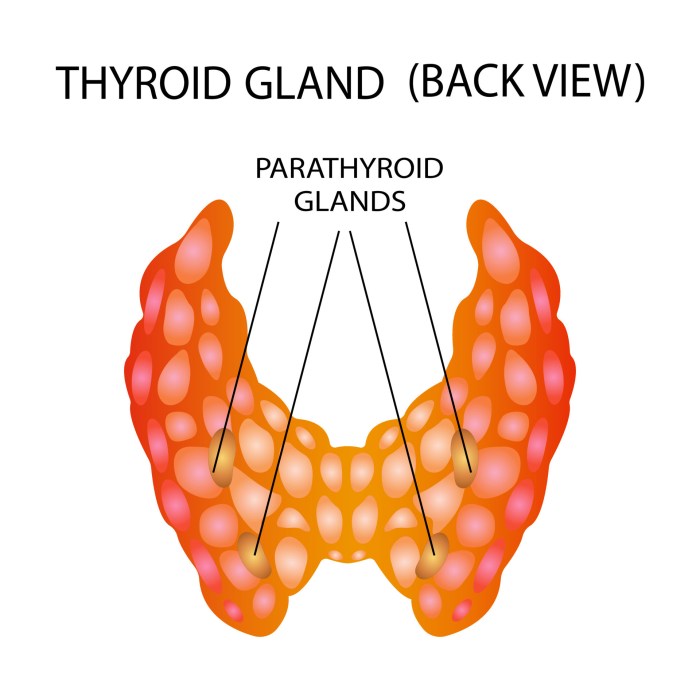 Thyroid cancer signs symptoms complications
