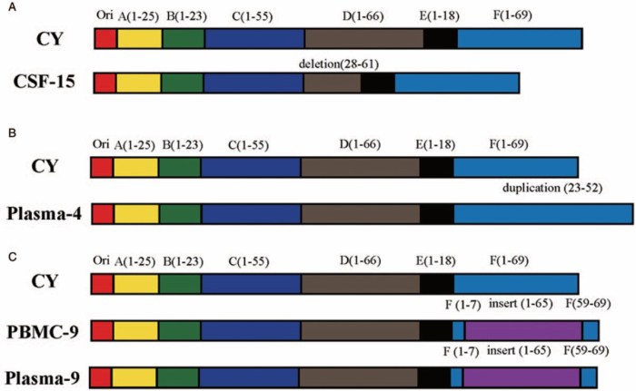 An overview of john cunningham virus