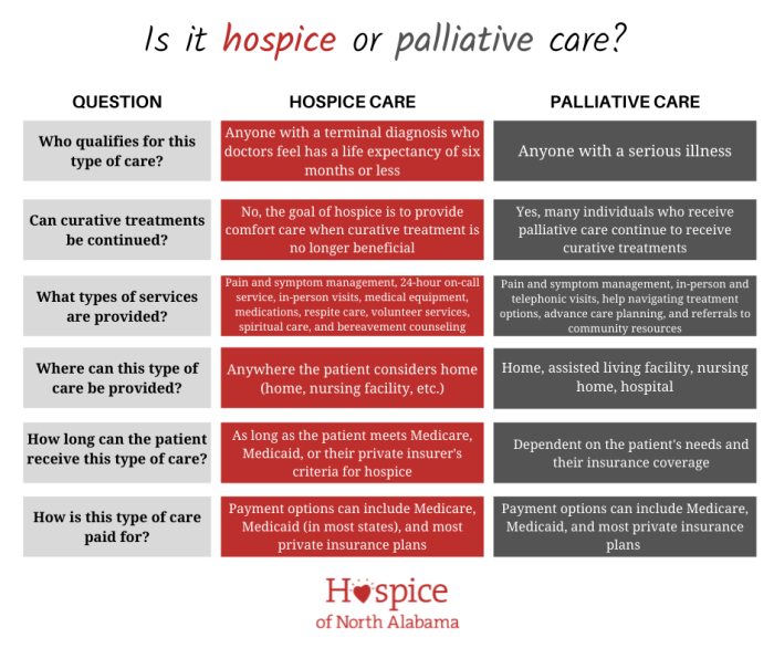 Palliative Care vs Hospice Key Differences
