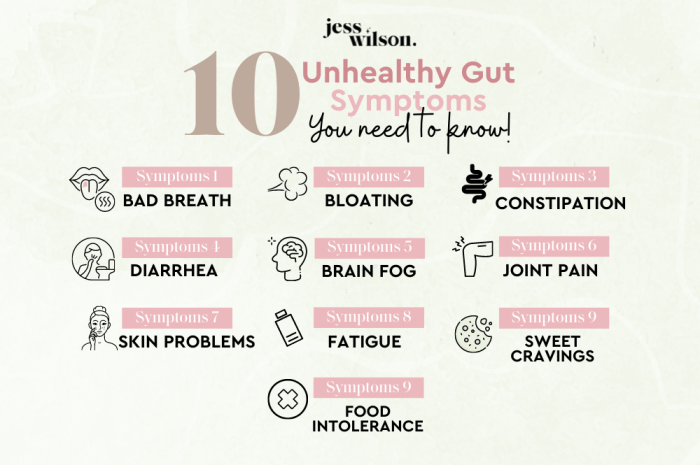 Signs of an Unhealthy Gut A Deep Dive