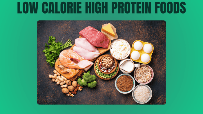 Low calorie high protein foods