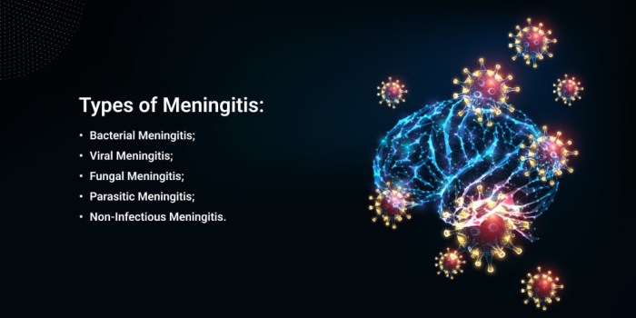 What Are The Long-Term Effects Of Viral Meningitis? Long term effects meningitis