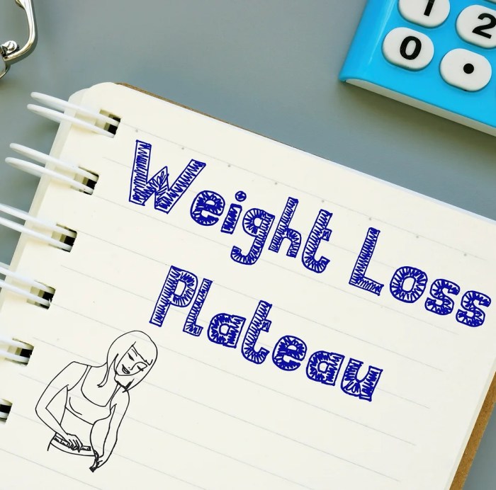 GLP-1 Drugs Obesity Cares Unfixed Flaws