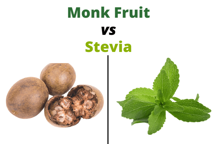 Monk fruit vs stevia