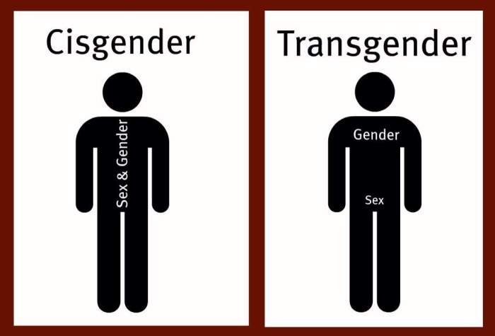 Cisgender | LGBT+ Amino What does it mean to be cisgender