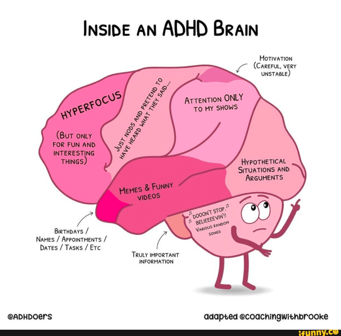 Normal Brain vs ADHD Brain: Differences, Similarities, and Management ... Adhd brain vs normal brain
