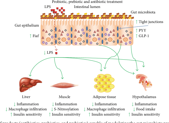Antibiotic for boils on skin How you can use antibiotics for boils