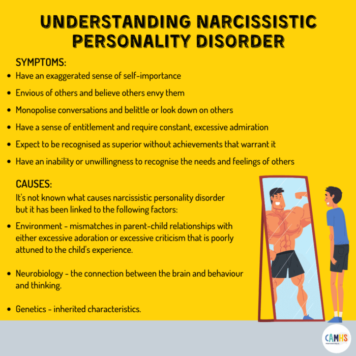 Narcissistic personality disorder npd traits causes treatment