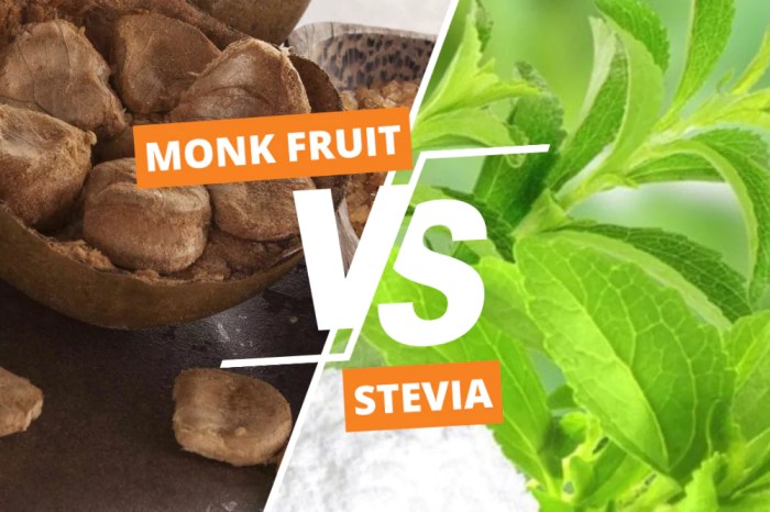 Monk fruit vs stevia