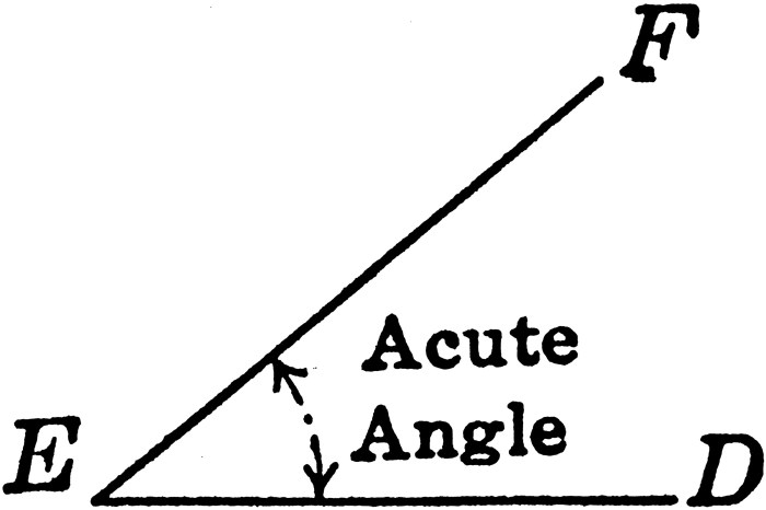 List 93+ Pictures Picture Of An Acute Angle Completed Acute low back pain try this first