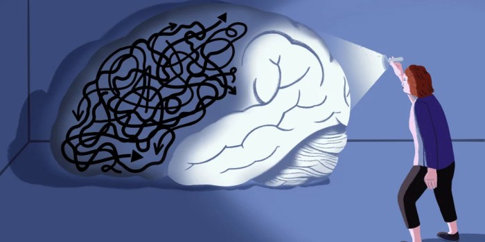 Adhd brain vs normal brain functions differences more – Artofit Adhd brain vs normal brain