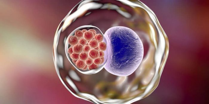 Chlamydia facts and statistics