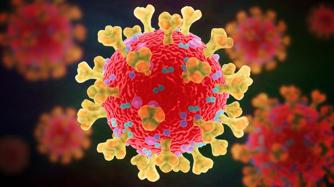 Coronavirus Timeline Immunity duration after covid booster