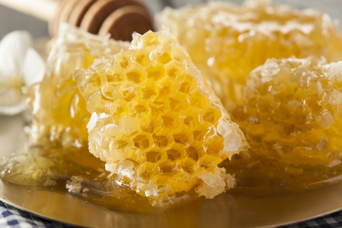 Honey and Yogurt Probiotics A Gut-Friendly Duo