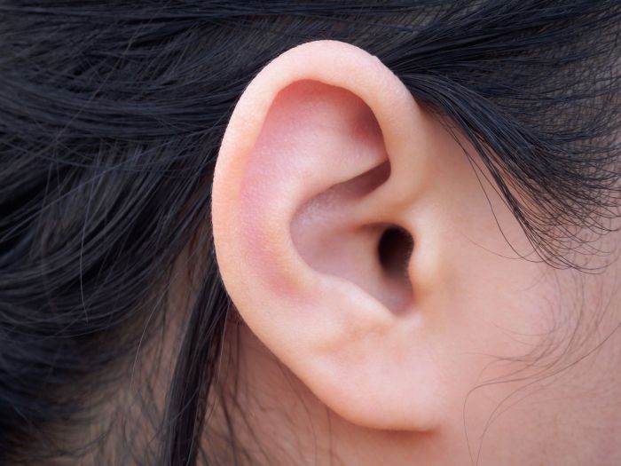 The Ear: Anatomy, Function, and Treatment Ear infection and covid 19