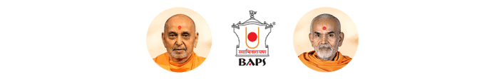 BAPS Shri Swaminarayan Sanstha | North America What is a baps board