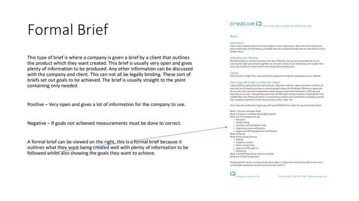 Briefs. - ppt download A brief history on the birth control pill