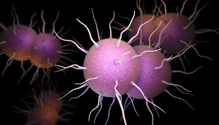 Gonorrhea | The Well Project Gonorrhea symptoms after treatment