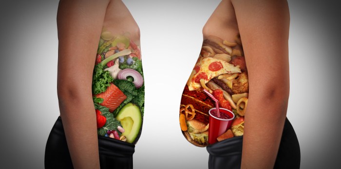 Obesity and Your Body A Deep Dive