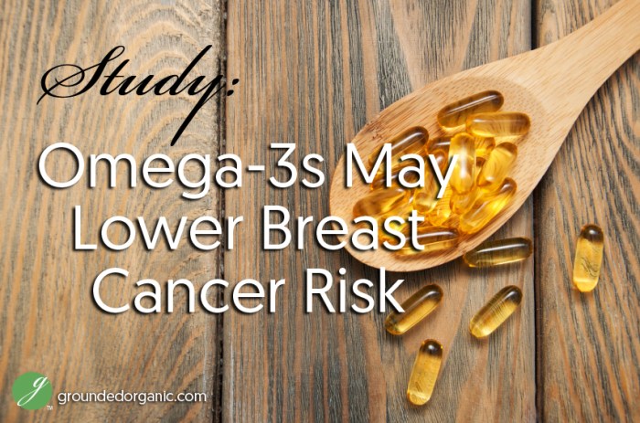 Patent Pending Healthy Aging Senolytic Program Omega 3 slows aging