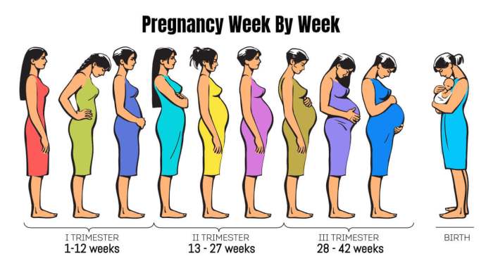 Change of life baby is pregnancy possible during perimenopause