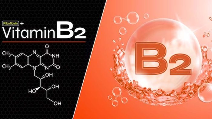Frontiers | Production of Vitamin B2 (Riboflavin) by Microorganisms: An ... Riboflavin benefits deficiency and more