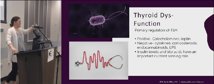 Subclinical hypothyroidism and the heart