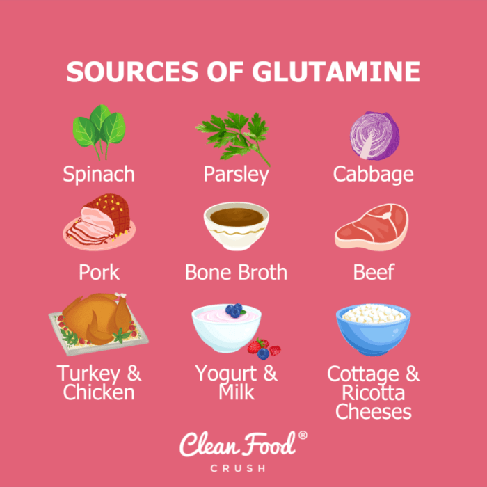 Glutamine Review: The Most Abundant Amino in the Body Plays Key Role in ... Glutamine nutrition and more