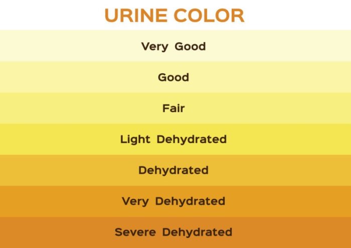 What does orange urine mean