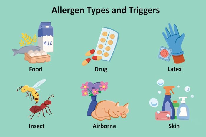 Types of Allergies: Triggers, Symptoms, Tips for Managing Allergens types function risks