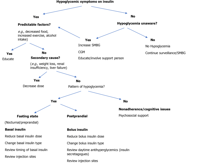 Hypoglycemia Causes Hypoglycemia causes risk factors