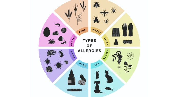 Allergens types function risks