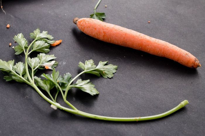 Carrot and ginger juice