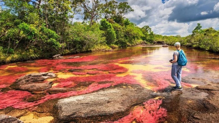 The world's strangest natural wonders Natural remedies for menopause that actually work