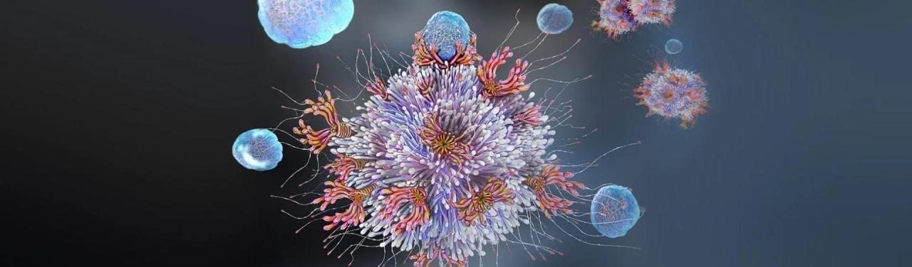Immunotherapy for atopic dermatitis