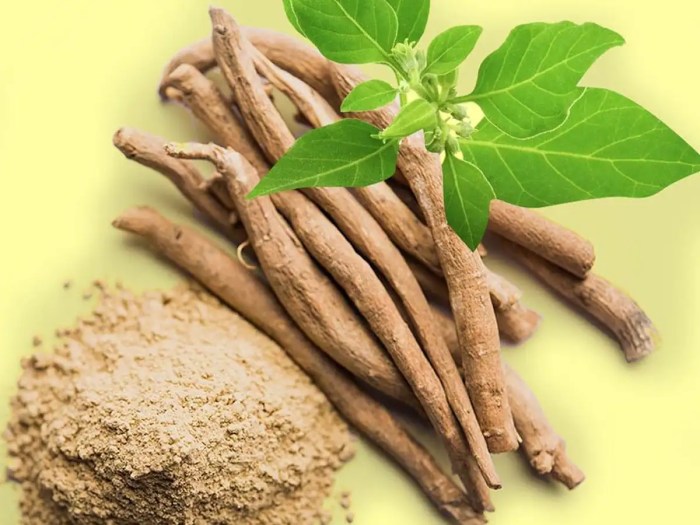 The Health Benefits Of Ashwagandha | LloydsPharmacy Ashwagandha benefits for women