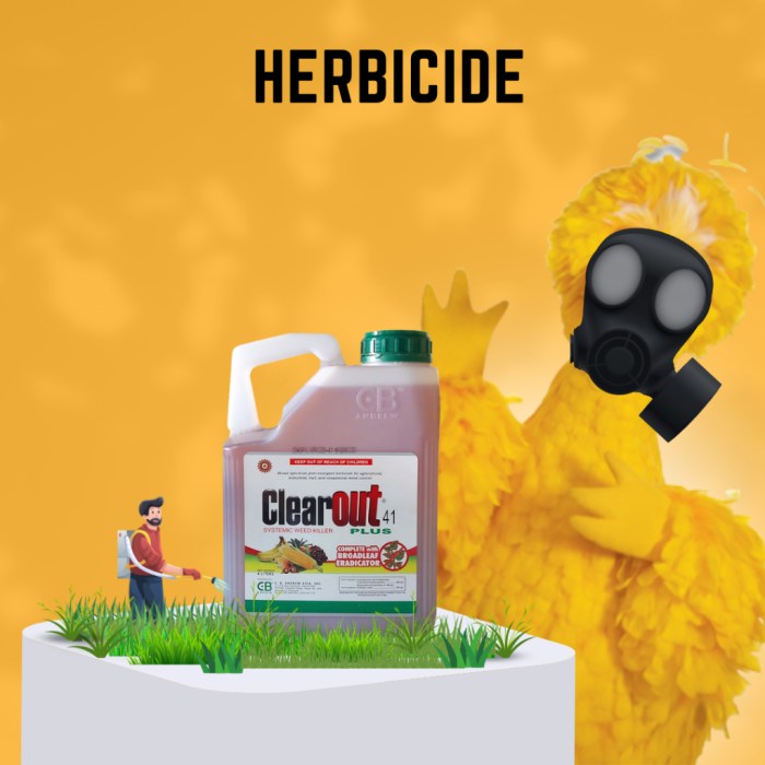 Glyphosate Cancer Risk Rat Study Details