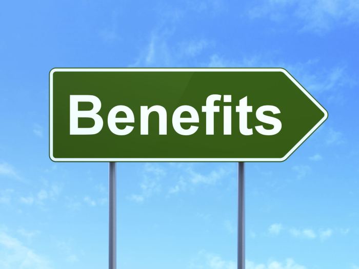 The Benefits of Allowing Employees a Flexible Schedule The benefits of ginseng