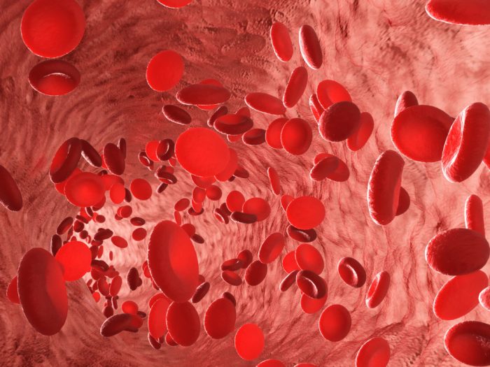 Why do we have blood and what does it do? | Vermont Public Blood tests for diagnosing back pain