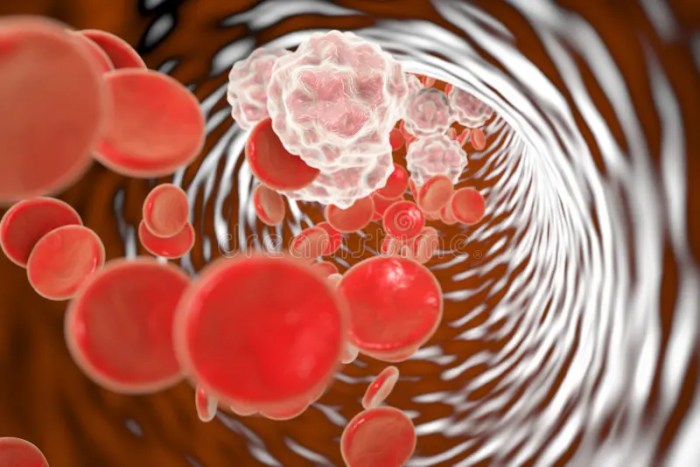 Blood sugar levels after eating