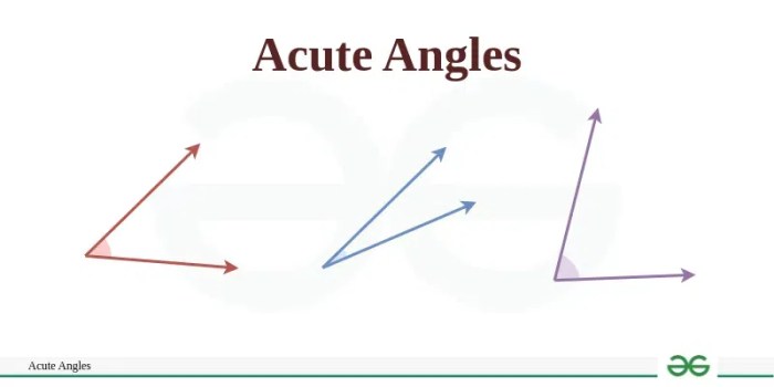 What is an Acute Angle? | GeeksforGeeks Acute low back pain try this first