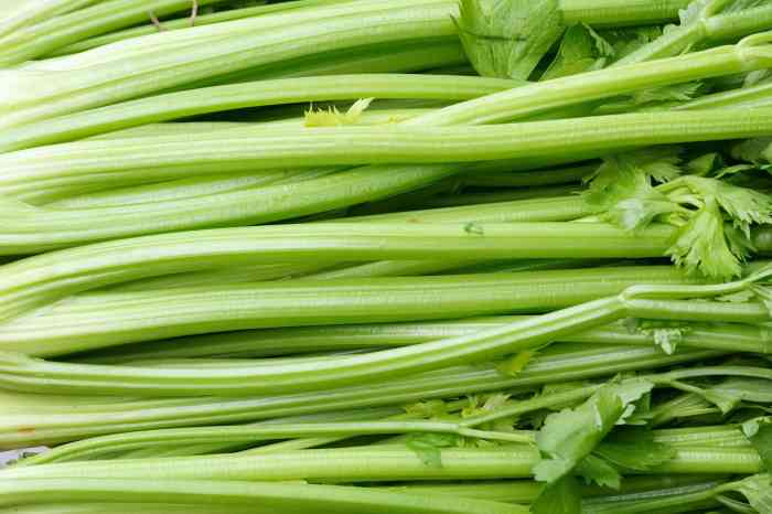 What is celery juice good for