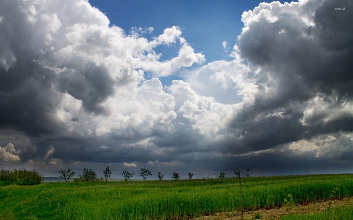 What does cloudy urine mean
