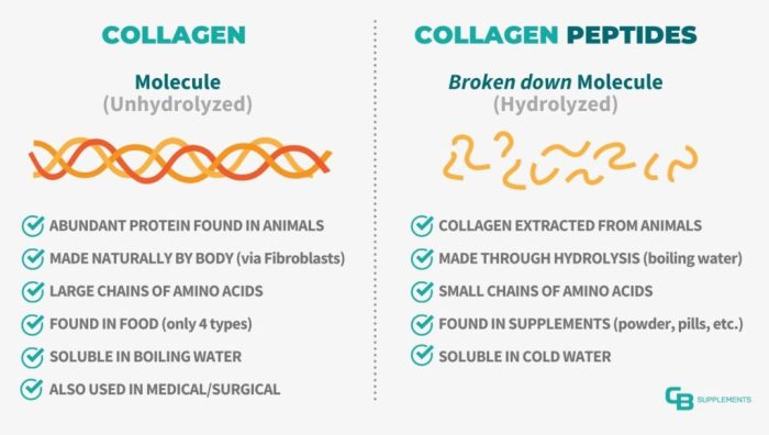 Collagen Vs Collagen Peptides (aka Hydrolyzed Collagen!), 56% OFF Collagen vs collagen peptides