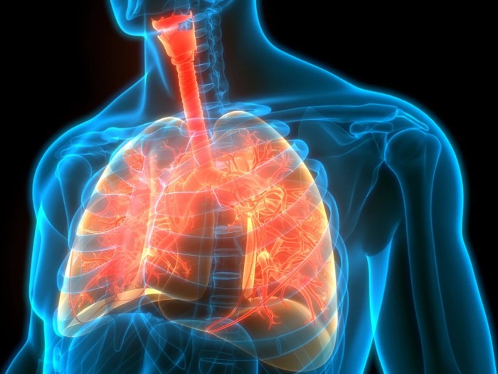 Cystic Fibrosis - Symptoms, Causes, Diagnosis, Treatment, Support Groups Symptoms of cystic fibrosis