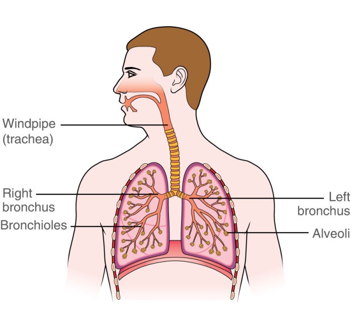 Lung cancer recurrence treatment and prognosis
